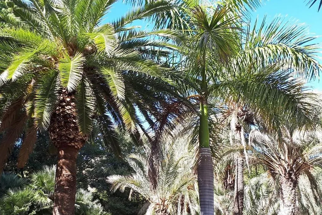 Apartment Studio Type Loft Malaga Gare De Trains Et Plage Spain